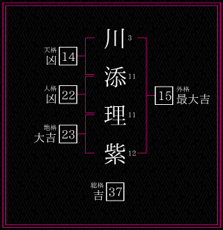川添理紫さんの姓名鑑定結果。天格、人格、地格、外格
