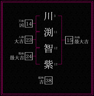 川渕智紫さんの姓名鑑定結果。天格、人格、地格、外格