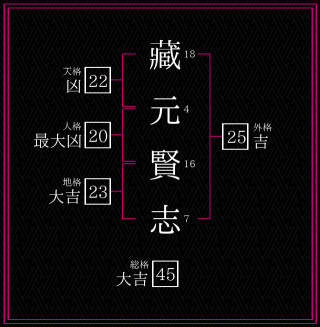 藏元賢志さんの姓名鑑定結果。天格、人格、地格、外格